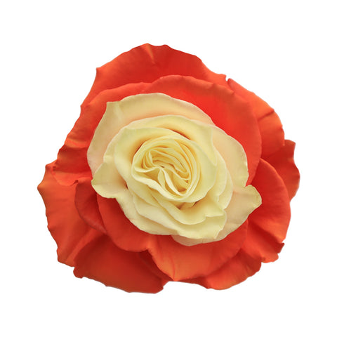 Naranja Mecánica