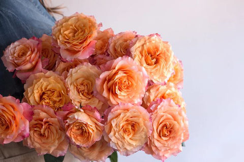 Free Spirit: The Enchanting Dance of Ruffled Orange Petals