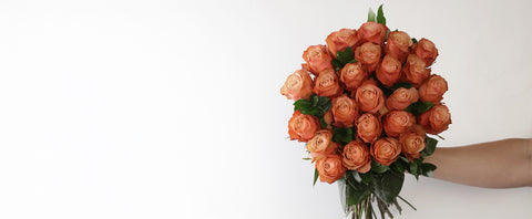 Autumn’s charm, rooted inevery rose 🍂