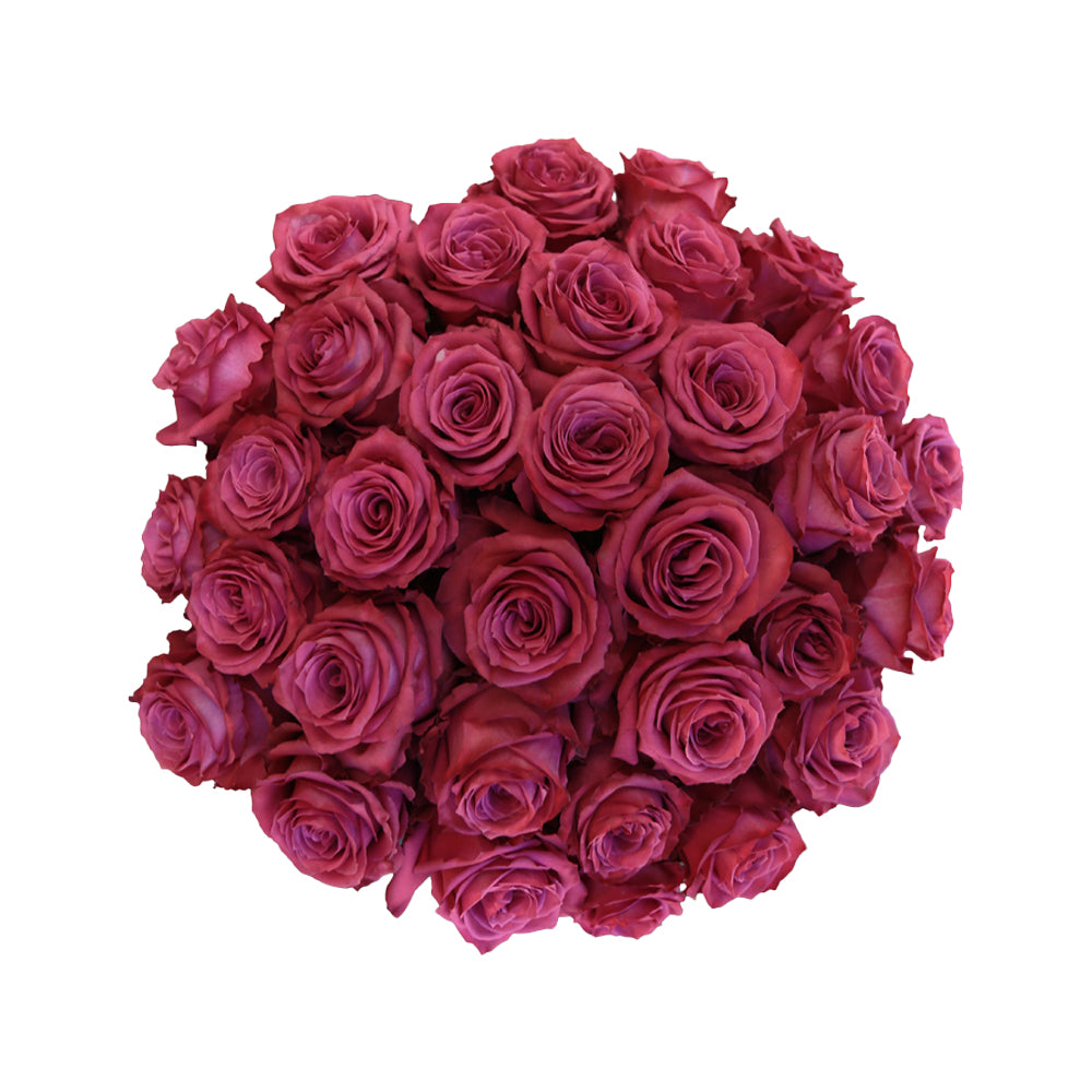 Bluberry Roses Blueberry – Ecuaplanet Roses