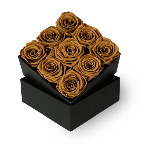 Cocoa Luxe
