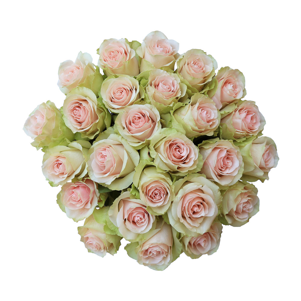 Frutteto – Ecuaplanet Roses