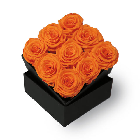 Light Orange