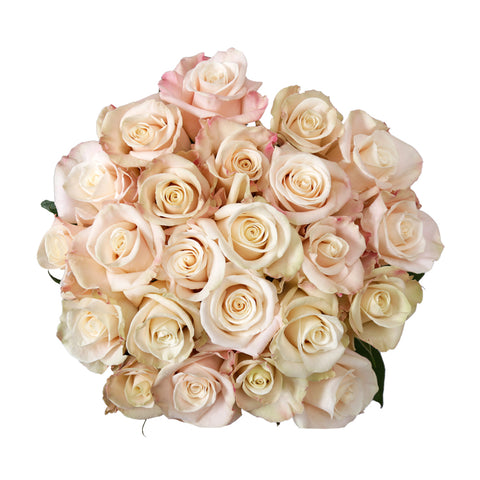 Merengue