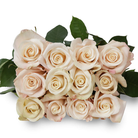 Merengue