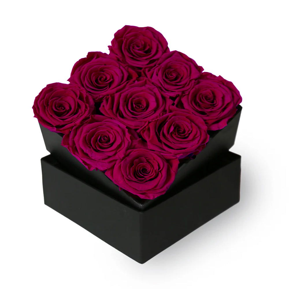 Raspberry – Ecuaplanet Roses